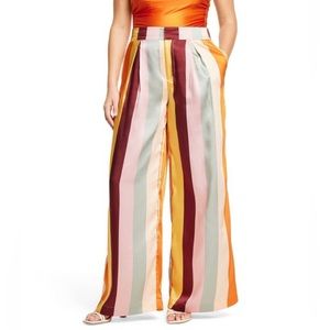 NWT: Fe Noel x Target Vertical Stripe Pants